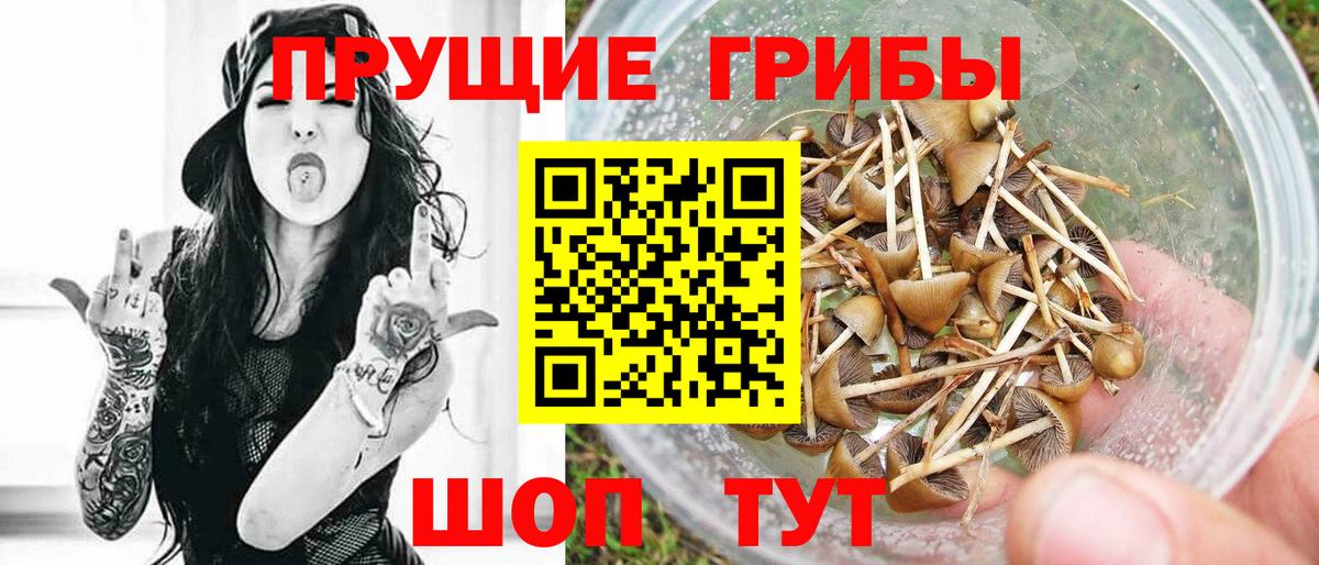 Псилоцибиновые грибы ЛСД  Галлюциногенные грибы MAGIC MUSHROOMS  Вход с VPN  Смоленск 